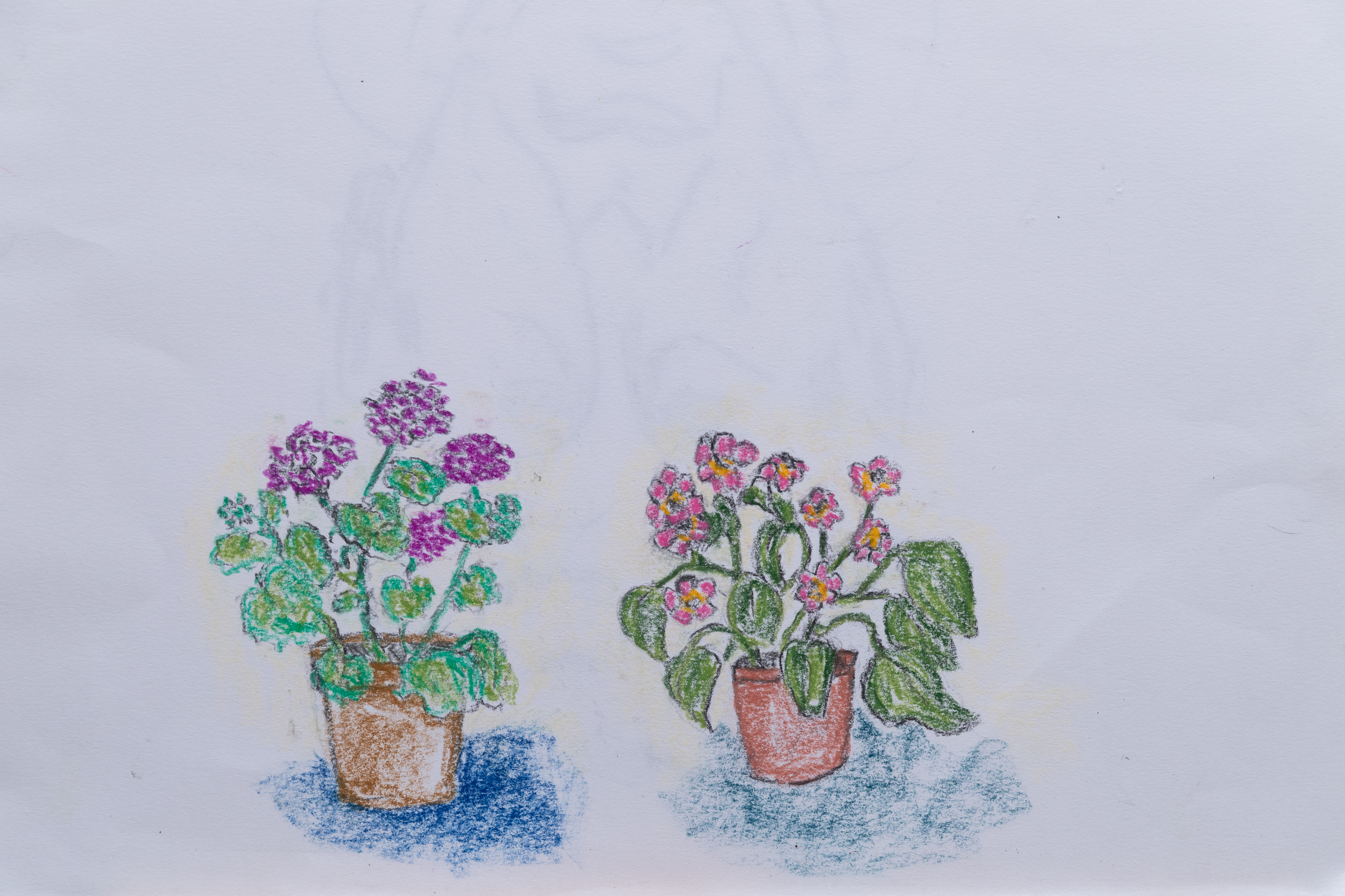 zwei Blumen im Topf