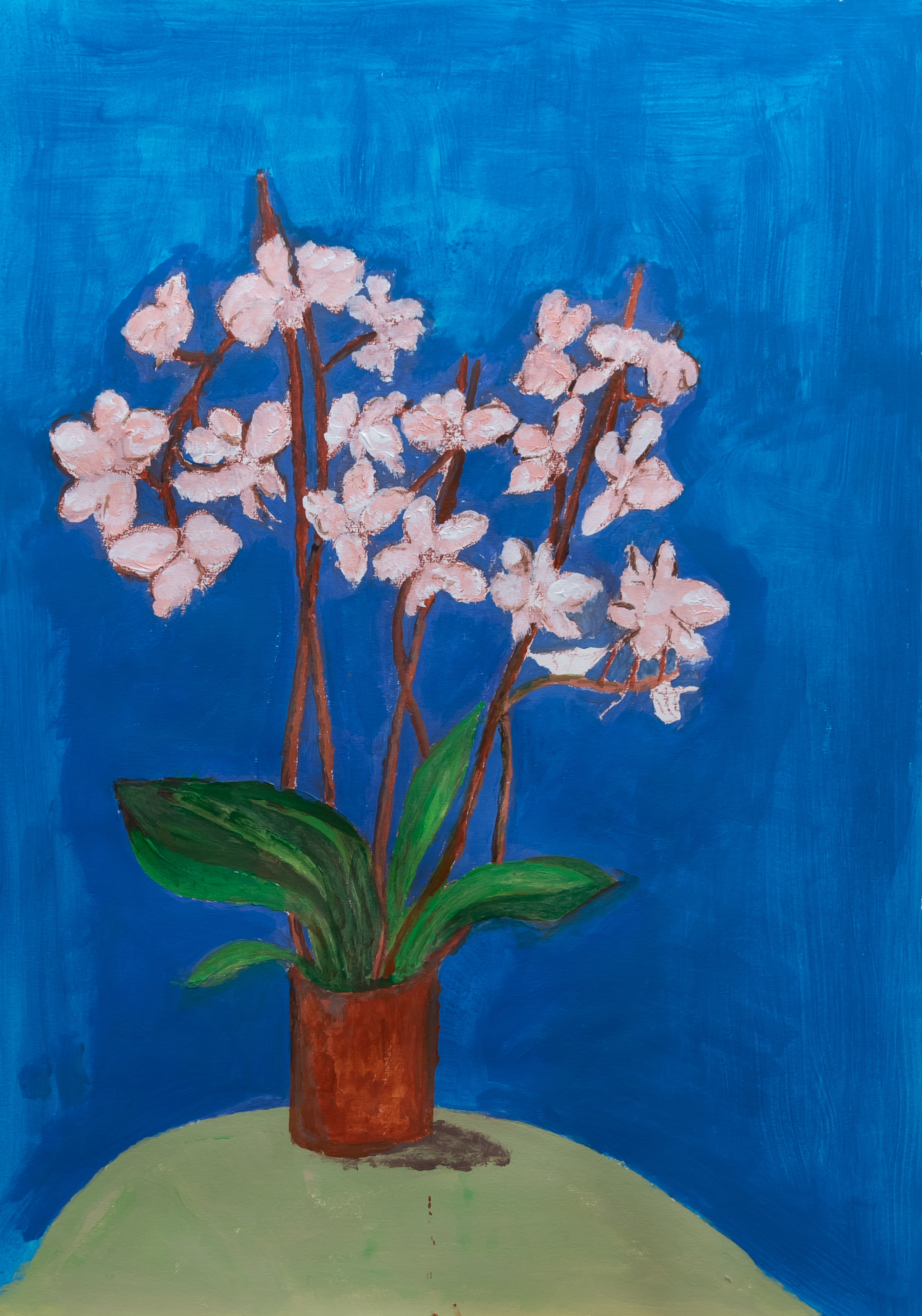 Orchideen