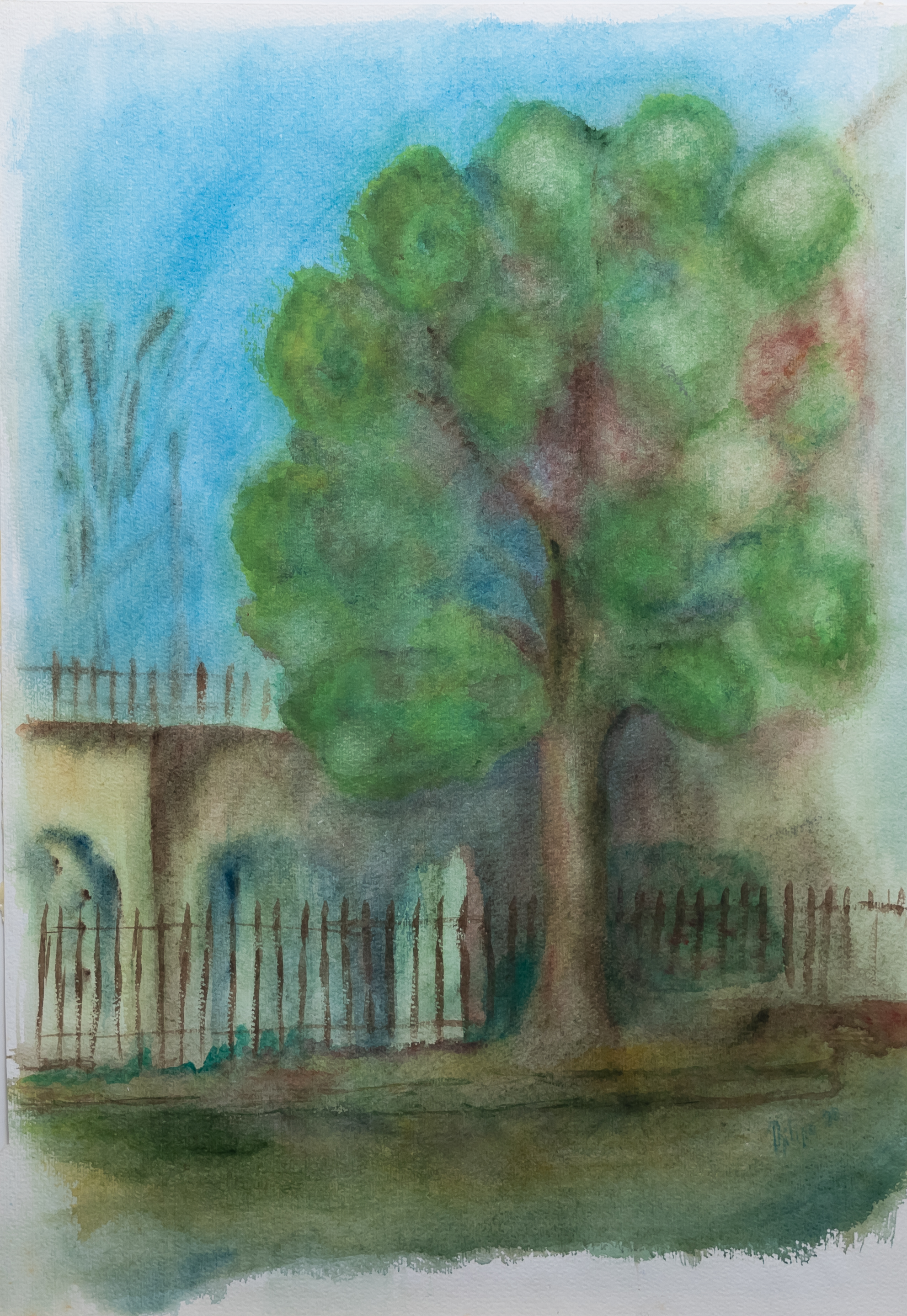 Birnenbaum Kirchgasse