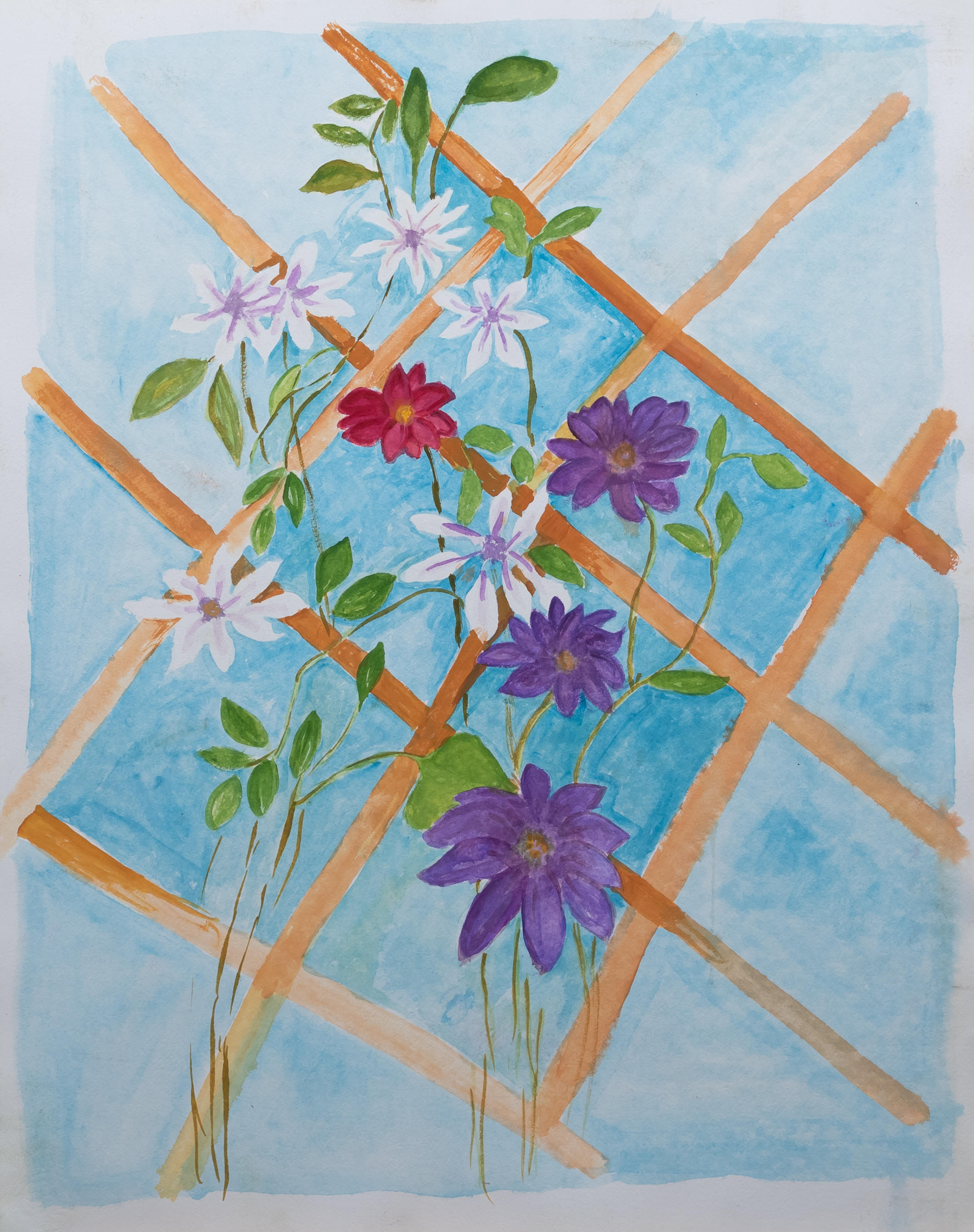 Clematis im Atelier