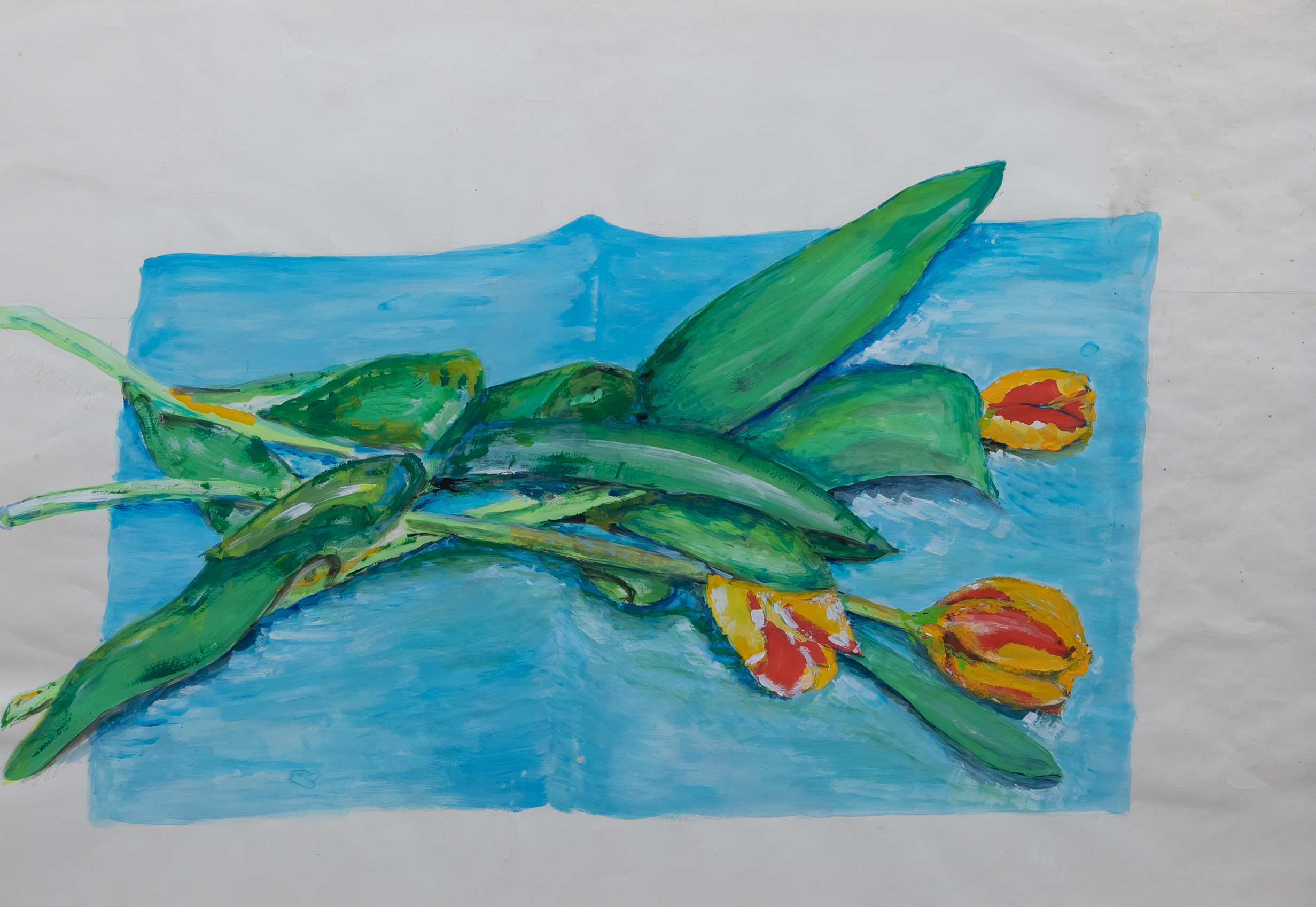 drei Tulpen